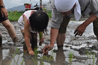 20120625taue11.jpg