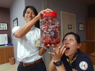 20120727umeboshi.jpg