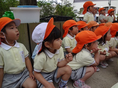 20130516yasaihanashi.jpg