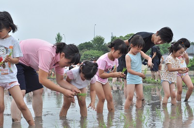 20130614ueru[1].jpg