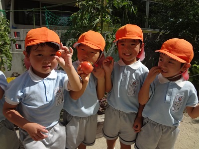 20130719tomato.jpg