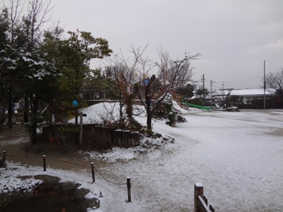 朝起きると一面・・・真っ白。【黒永】