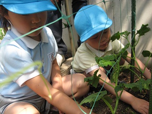 広田先生来園！（光野）