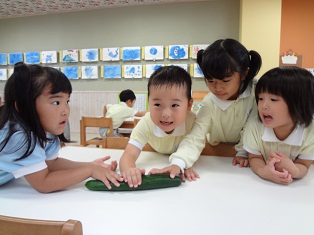 幼稚園ならでは…（もみの木　松尾）