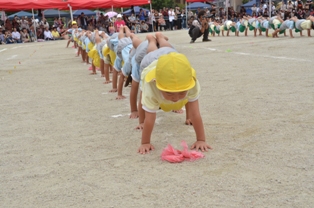 ippon.jpg