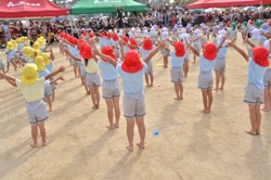 森の木運動会、ありがとうございました【鷹取】