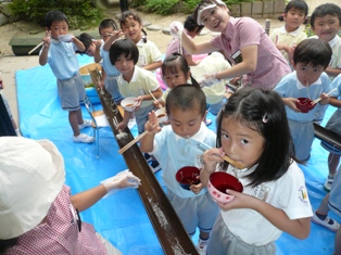 夏の風物詩